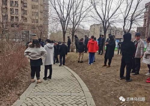 吉林小区最新爆料,揭秘神秘事件背后的真相